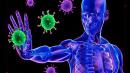 La desaparición de anticuerpos no supone una pérdida de inmunidad frente al coronavirus