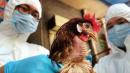 Se detectó un brote de gripe aviar en Mai Po.