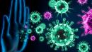 La inmunidad innata puede ser la clave para encontrar la cura para el coronavirus.