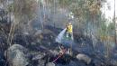 576 hectáreas de vegetación han desaparecido en Azuay y Cañar por efecto del fuego