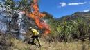 incendio forestal en azuay