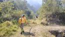 Bomberos de la zona centro del país trabajan en combatir el incendio forestal.