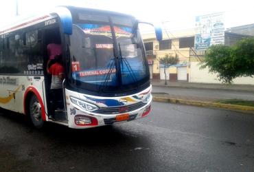 El chofer era conductor de esta línea de transporte.