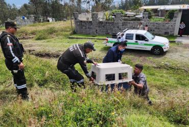 Unidad de Bienestar Animal retira un perro