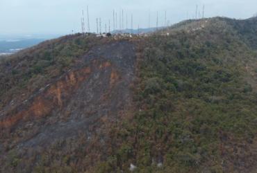 Algunas hectáreas afectó el reciente incendio de Cerro Azul.