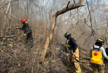 Los bomberos lograron apagar el fuego luego de dos días de labores.