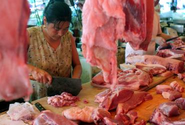 venta de cerdo en guayaquil