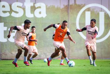 Universitario