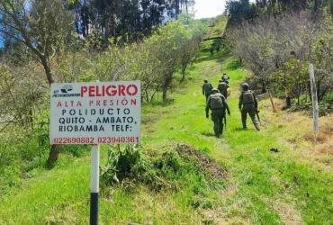 LOS LOBOS ROBAN COMBUSTIBLE