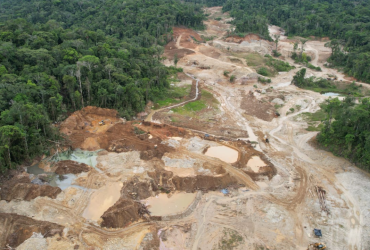 Minería Napo