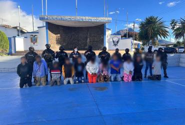 Lobos capturados en Ibarra