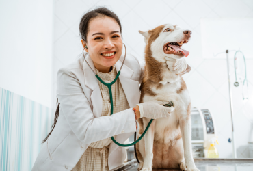 Conoce como acceder al servicio de esterilización gratuita de Municipio de Guayaquil.