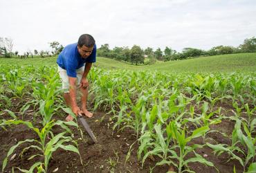 Agricultor