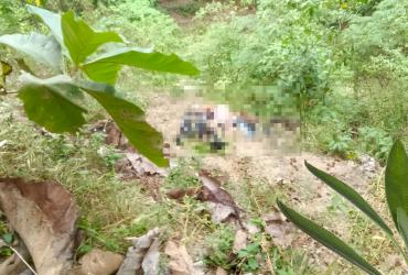 cadáveres en una quebrada