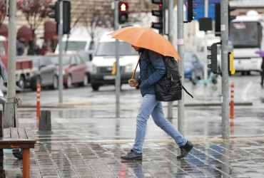 Consulta popular 2025.