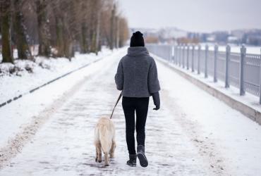 Caminar durante una nevada