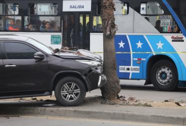 El carro de la víctima se estrelló contra un árbol encima de un parterre.