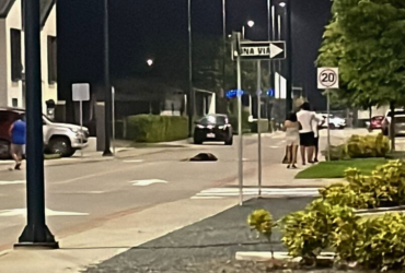 asesinatos urbanización vía a salitre