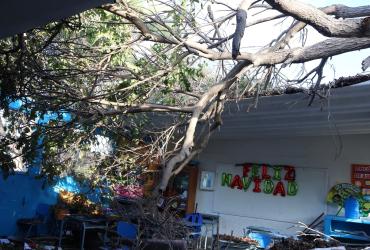 Así quedó el aula de la Unidad Educativa Manuela Cañizares  donde un árbol cayó y dejó heridos a los pequeños en Santa Rosa del cantón Salinas