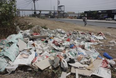 ¡Ratones y malos olores! Basura se acumula sin control en La Aurora