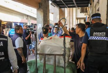 Bahía de Guayaquil.