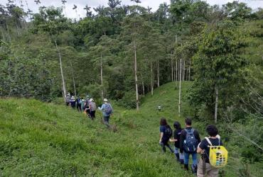 NIDO DE VIDA (15595068)