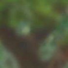 Vida de Vito Muñoz será llevada a la pantalla grande.