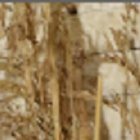 Gabriela Pazmiño prefiere guardar silencio sobre el tema.