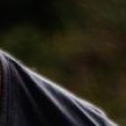 Ricardo Delgado se ha caracterizado por ser frontal al momento de dar sus comentarios.