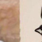 Saray Valdez (izquierda) reaccionó a los comentarios de Saltos.