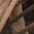 En el tradicional festival de carne de perro, los animales están listos para ser cocinados.