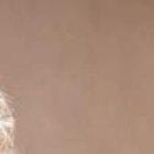 Patricia Rameix es la voz principal del grupo que interpreta mùsica latinoamericana.