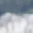 María Gabriela se alista para el concurso Señora Universo.