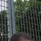 Este lunes, familiares de Gonzalo realizaron los trámites respectivos para sepultarlo en el cementerio del suburbio.