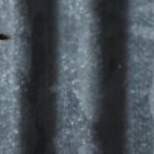 Sofía Caiche volvió a locutar en el programa radial y se disculpó con sus oyentes, pues aún sentía dolor en su muela.