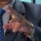 Ofrece $ 1.000 de recompensa para descubrir al autor de la denuncia