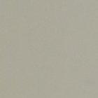 EDUARDO ANDRADE VISITA DIARIO EXPRESO....28.02.2019