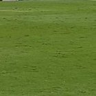 Michael Arroyo siendo entrevistado por Florencia Alfaro Moreno con la distancia que está en el protocolo de bioseguridad de LigaPro.