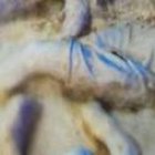 La alcaldesa, durante el recorrido de la obra. Esta foto causó polémica en redes.