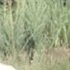 Raúl JIménez en una foto del recuerdo con su compañero y pana Cristhian Benítez