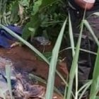 En una quebrada fue encontrado el cadáver de Jacinto Alfonso Vera Salazar.