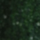 Espín es presentadora de un programa en Gamavisión que se transmite todas las noches.