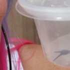 Zully subió varias historias a su cuenta de Instagram, donde dio a conocer a su mascota.