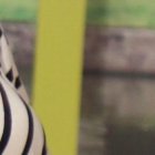 Tábata Gálvez aseguro que se sometió a la cirugía de manga gástrica netamente por salud.