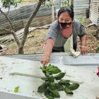 Con la rama de un árbol, Elsa Bonilla Ponce limpia la improvisada tumba de su progenitora, Ángela Ponce Merchán.