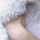 Junto a sus “hijos”, Titilipú y Coco José.