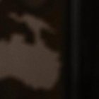 La televisión es la gran pasión del conductor de noticias.