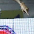 El zaguero colombiano Santiago Arias quedó tendido en el terreno de juego, tras la terrible lesión que sufrió.