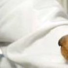 La jornada de vacunación se realizará en Calacalí desde las 09:00.