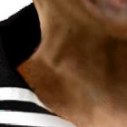 Máximo Banguera, vuelve a la que fue su casa durante 10 años.